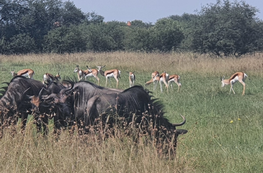 Commercial Property for Sale in La Camargue Private Country Estate North West